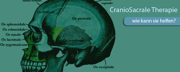 CranioSacrale Therapie